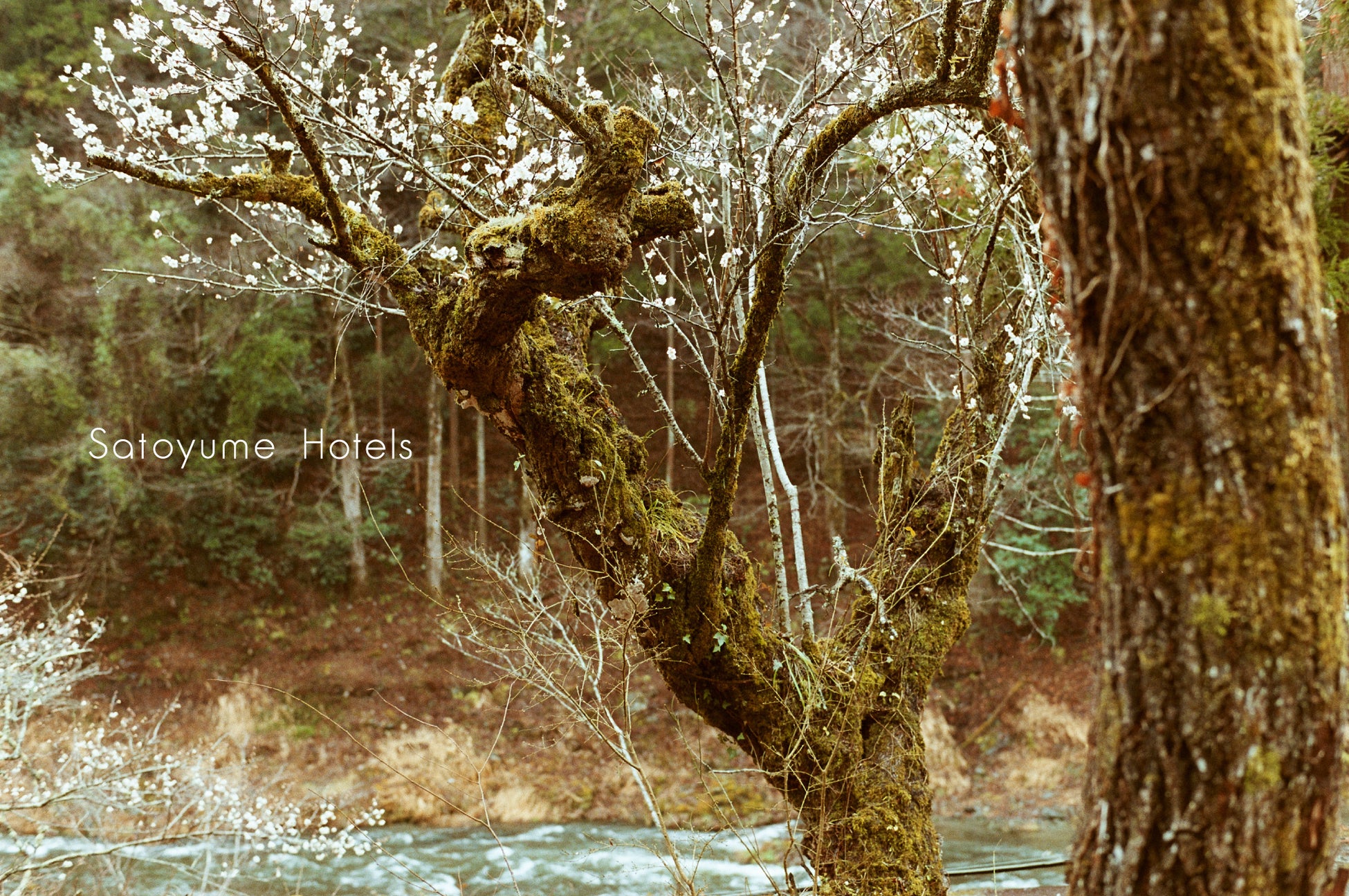 2025年 大阪・関西万博ファイナルイベントJR西日本グループpresents ありがとうと旅立ちの祭典~THANK YOU for ALL~を開催!