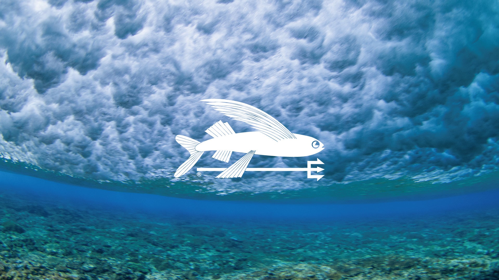 NPO法人ウィーログは東京都で認定を取得しました