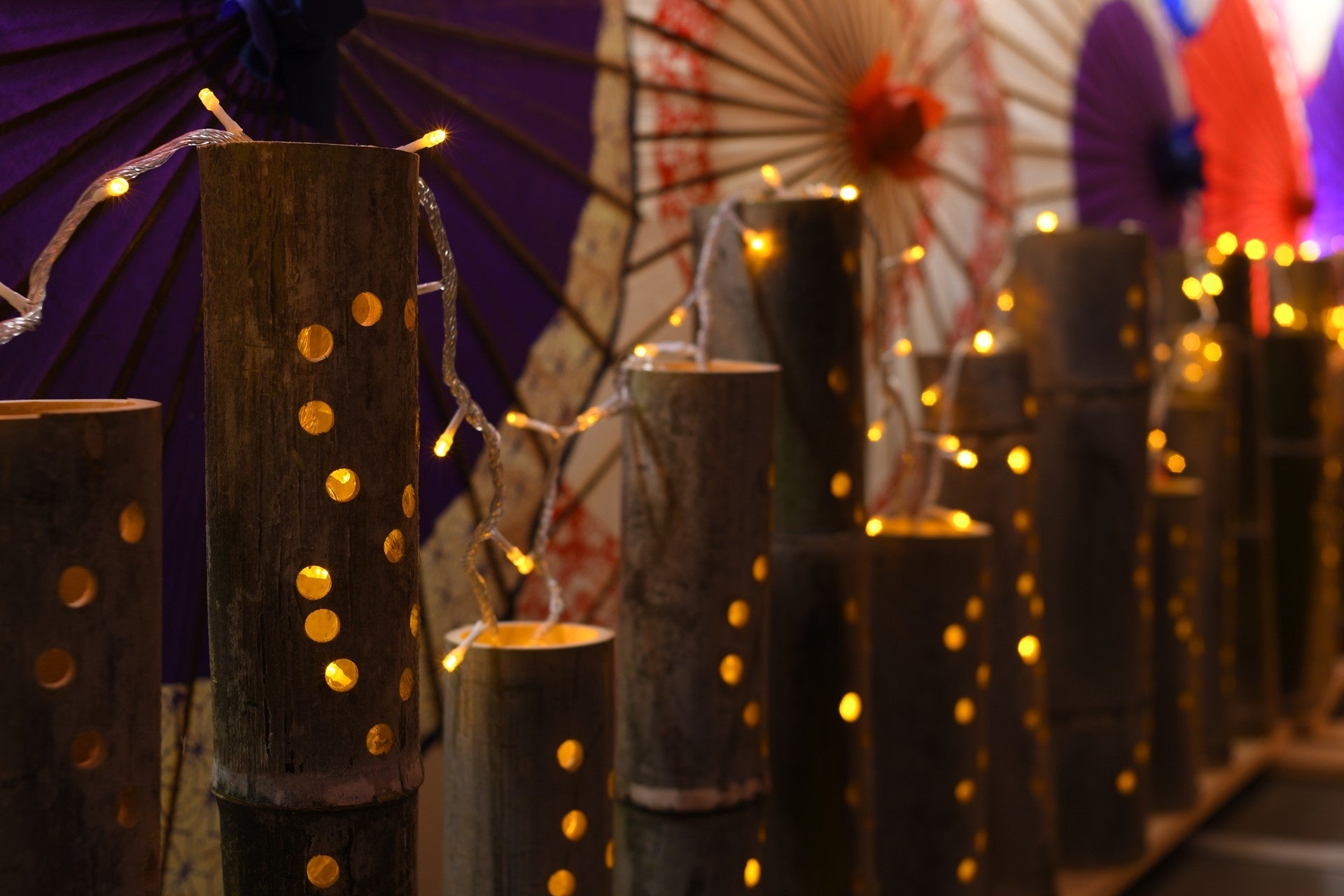 【南知多ビーチランド】「ZOOっともパーク」入館者20,000人突破!期間限定でお得な割引キャンペーンを開催中!<愛知>