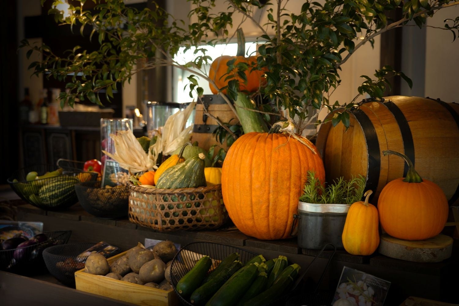 東京で大隅と出逢い、新たな大隅との物語がはじまる。
