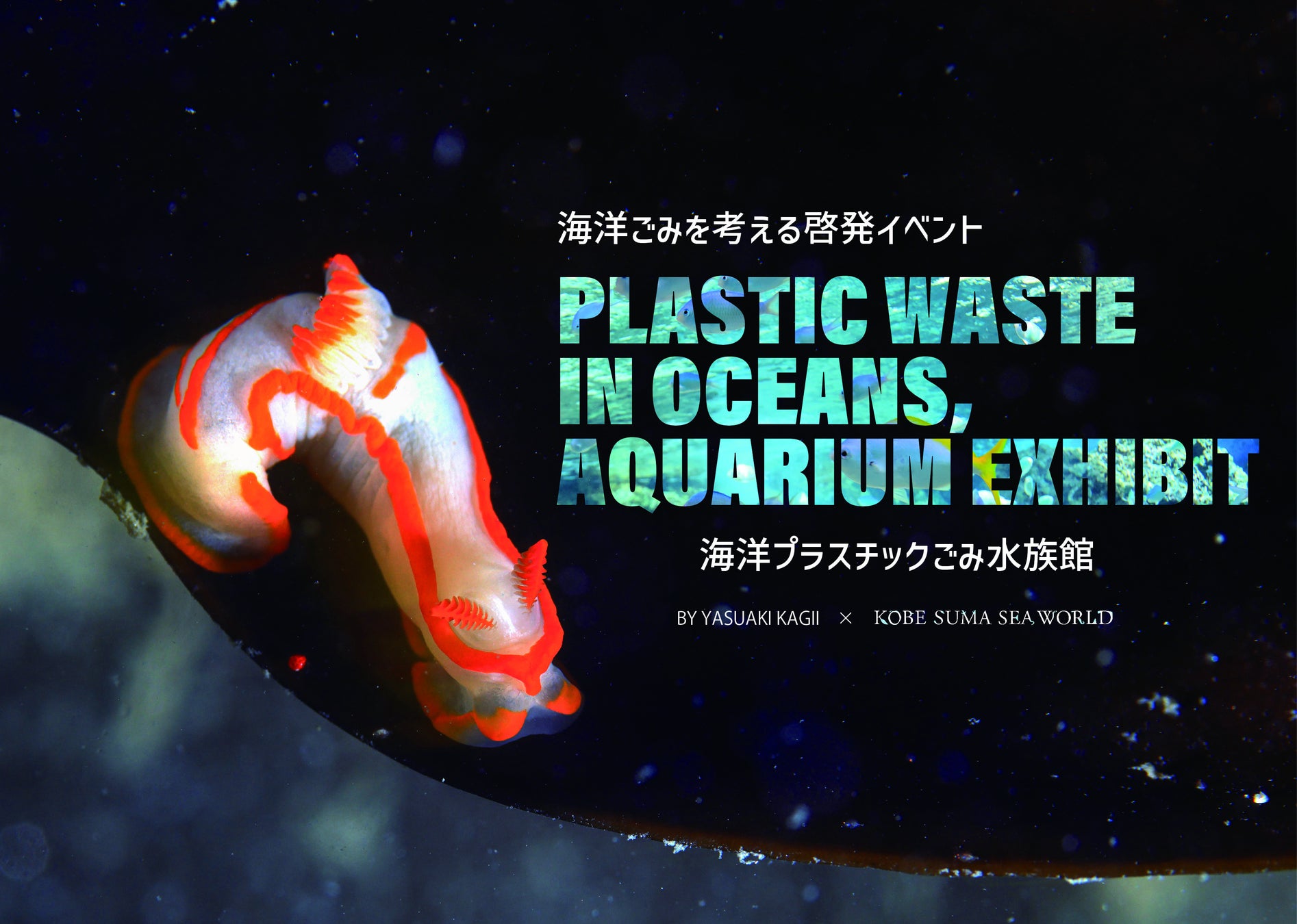 【神戸須磨シーワールド】神戸須磨シーワールド×神戸女子大学×株式会社マテックスサステナブルにふれよう「マーメイドに描く、未来の海」を開催