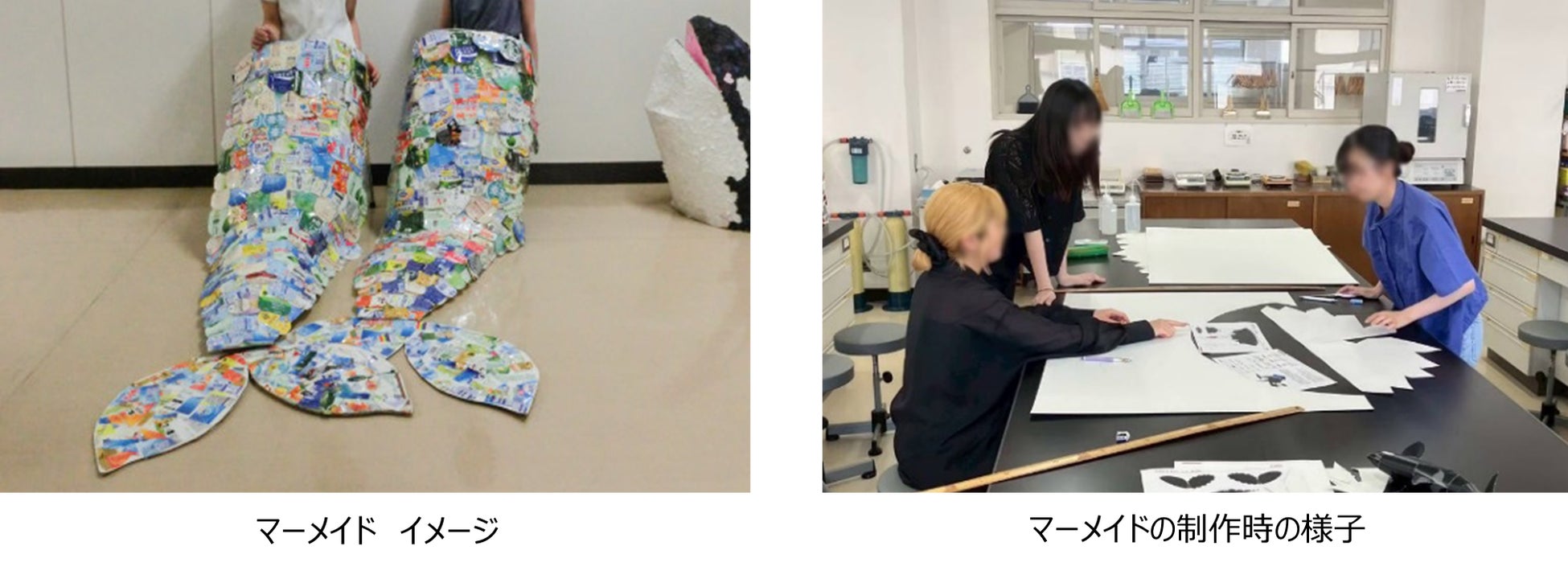 【横須賀・ソレイユの丘】見頃は10月上旬、秋の訪れを告げるキバナコスモス約25万本が園内に咲き始めました。