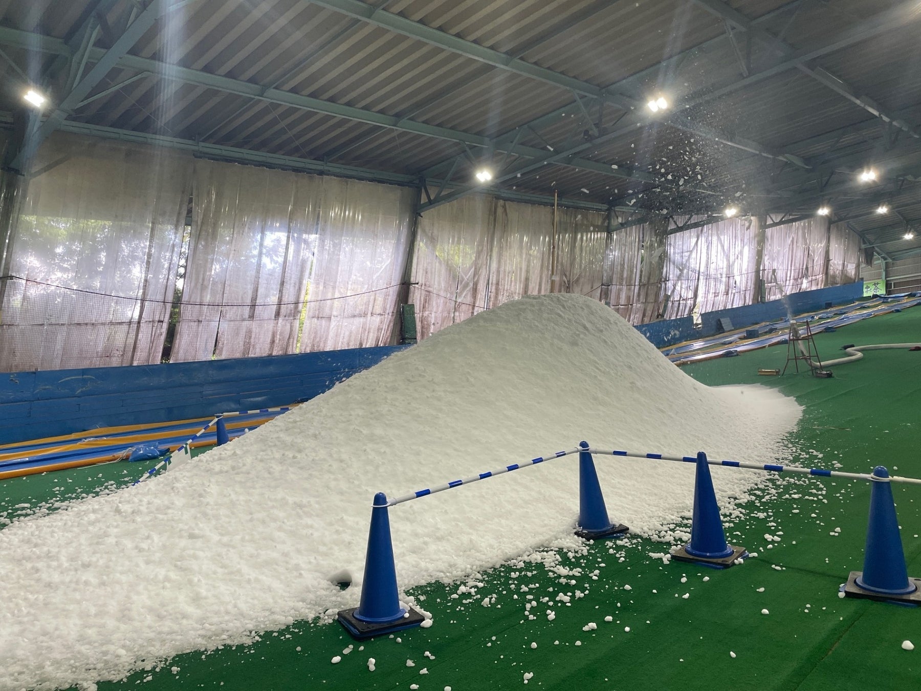 【横須賀・ソレイユの丘】見頃は10月上旬、秋の訪れを告げるキバナコスモス約25万本が園内に咲き始めました。