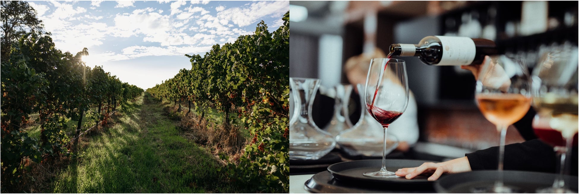 新穂高ロープウェイ中間エリアのリニューアルを実施します