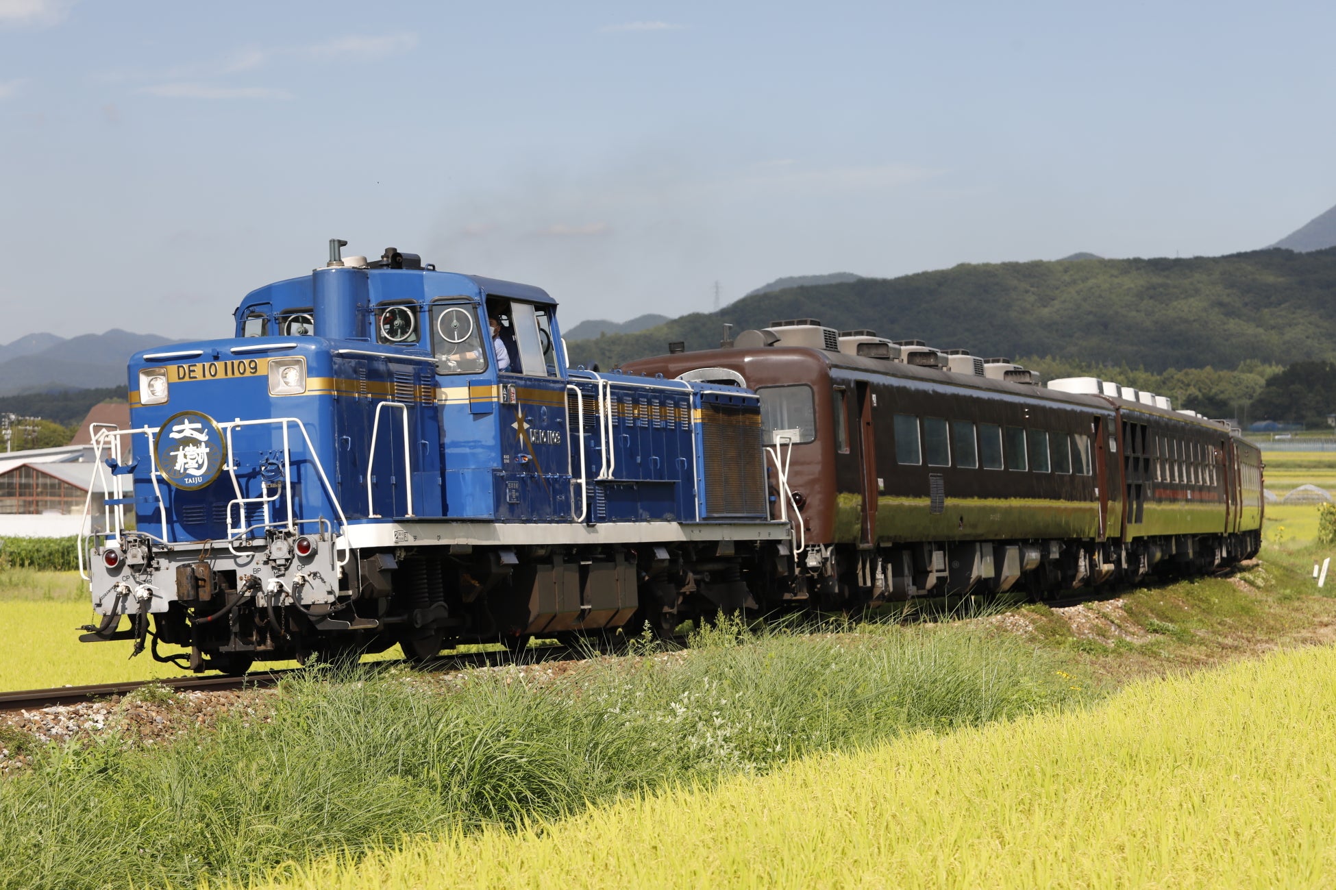 令和6年度特別区競馬組合決算の認定及び特別区分配金の決定について
