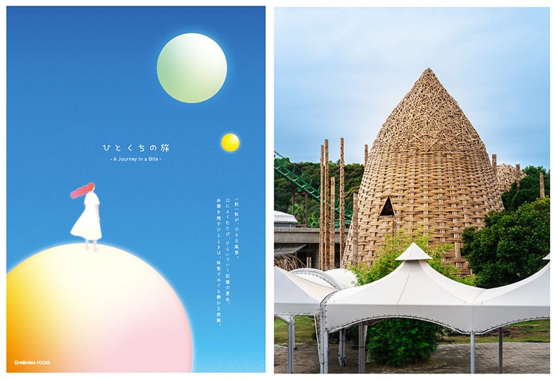 幻想的な秋夜に咲く花畑 ―秋限定ナイトフラワーパーク開催―