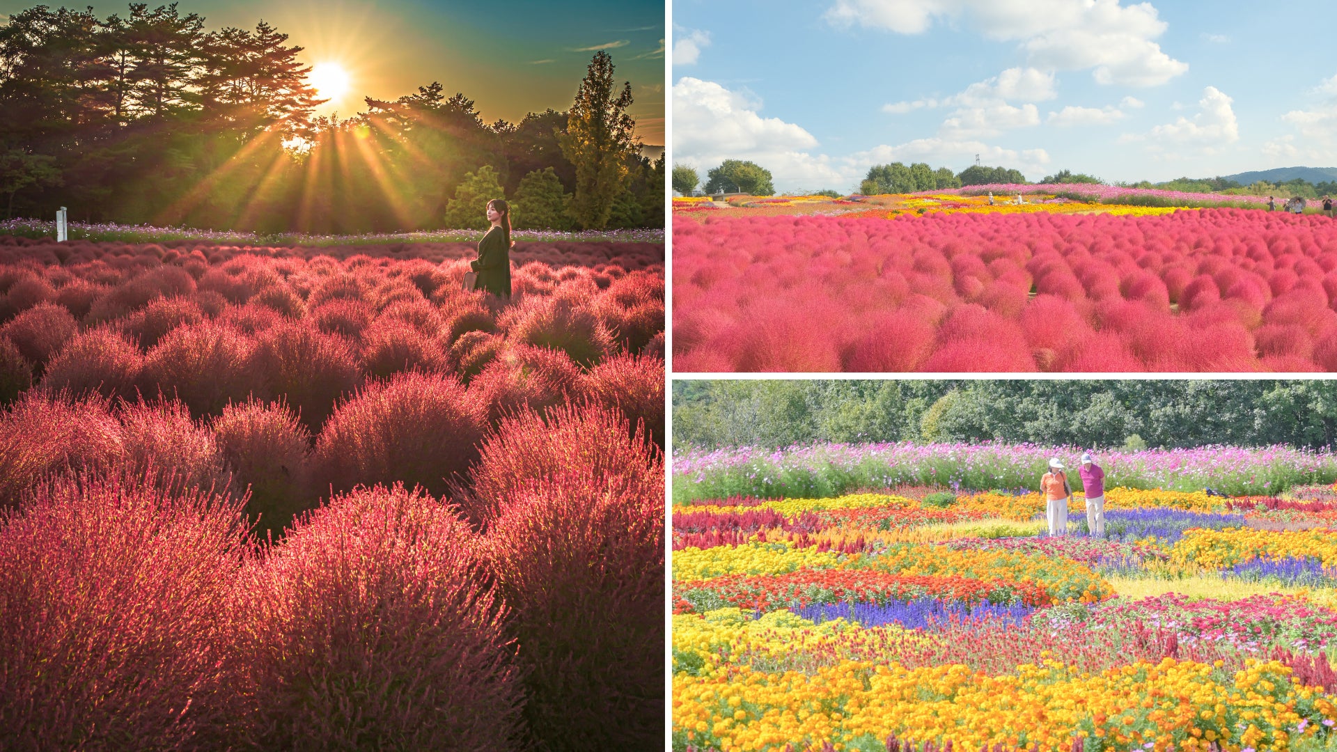 アメリカ発のアウトドアブランドCotopaxi®(コトパクシ)、オールナイト野外映画フェス「丘の向こうに森の映画祭2025」をサポート