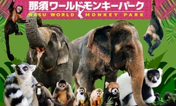 【大阪・関西万博】 9月25日 伝統技術で彩るアルフォンス・ミュシャの世界を楽しめる堺のイベントを開催!