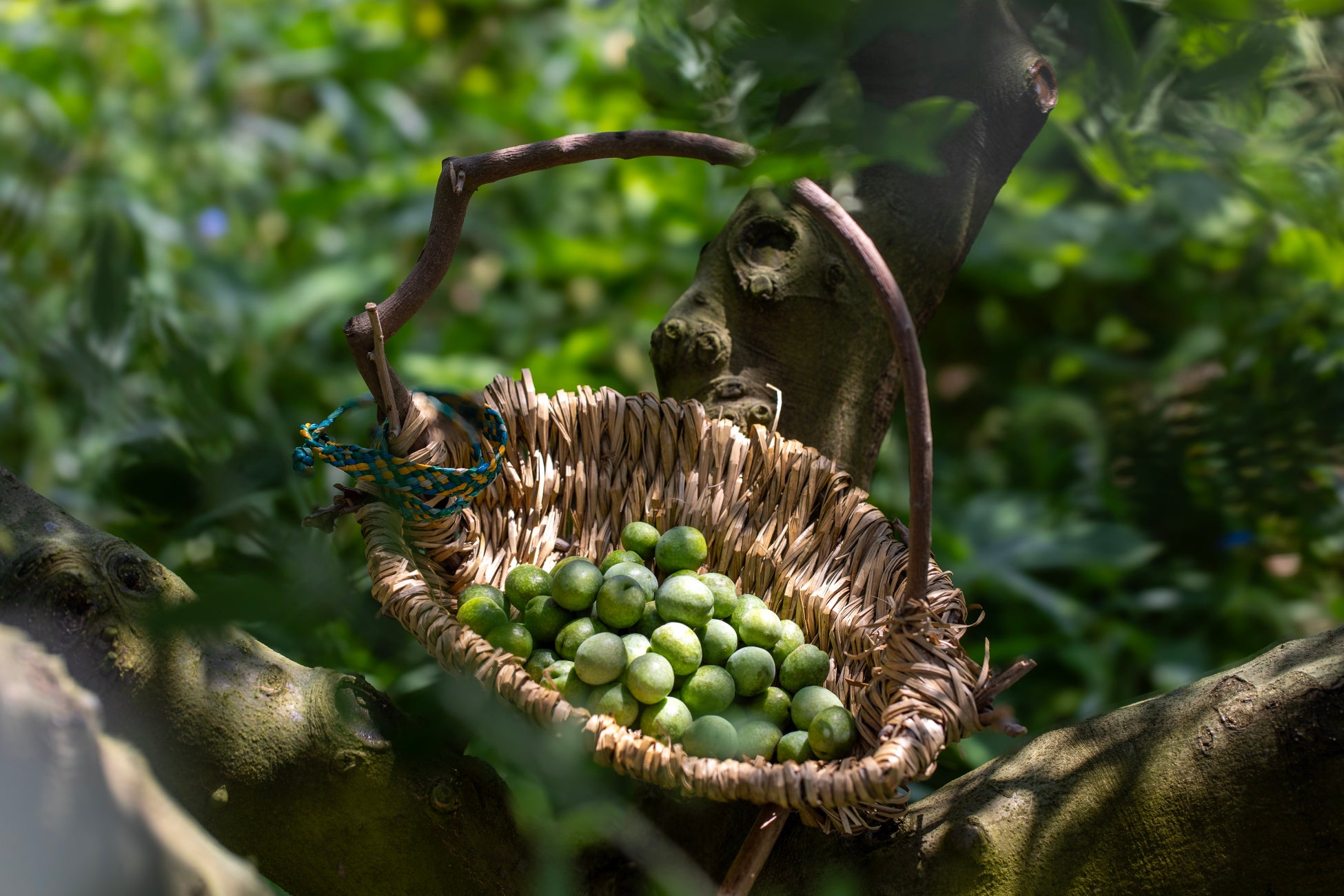 大阪・関西万博で、WAKU MOBI(四輪型特定小型原動機付自転車)の最終屋外デモンストレーションが決定!