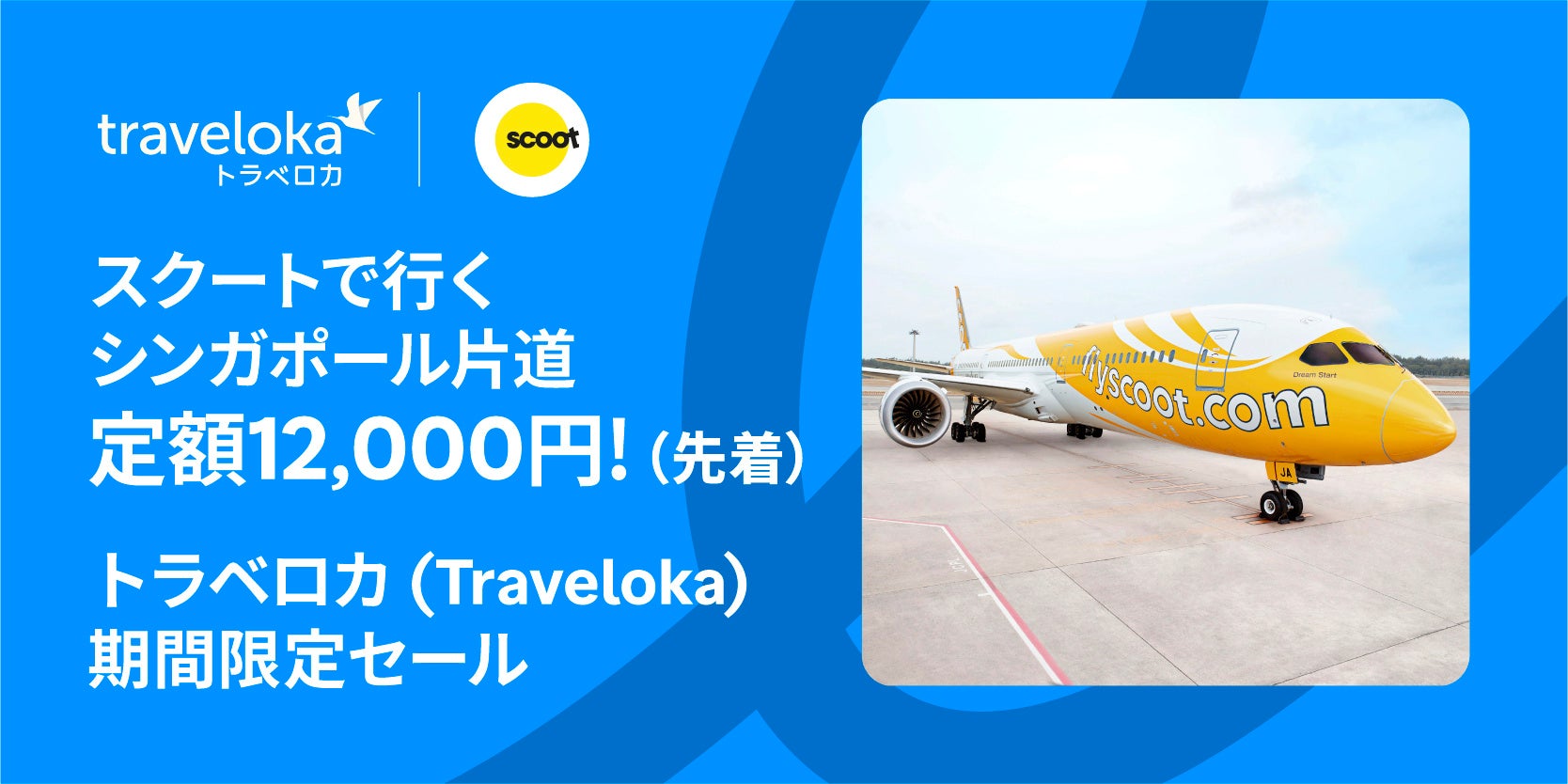 この断面美に思わず二度見!心躍る、新作クリスマスケーキ登場。