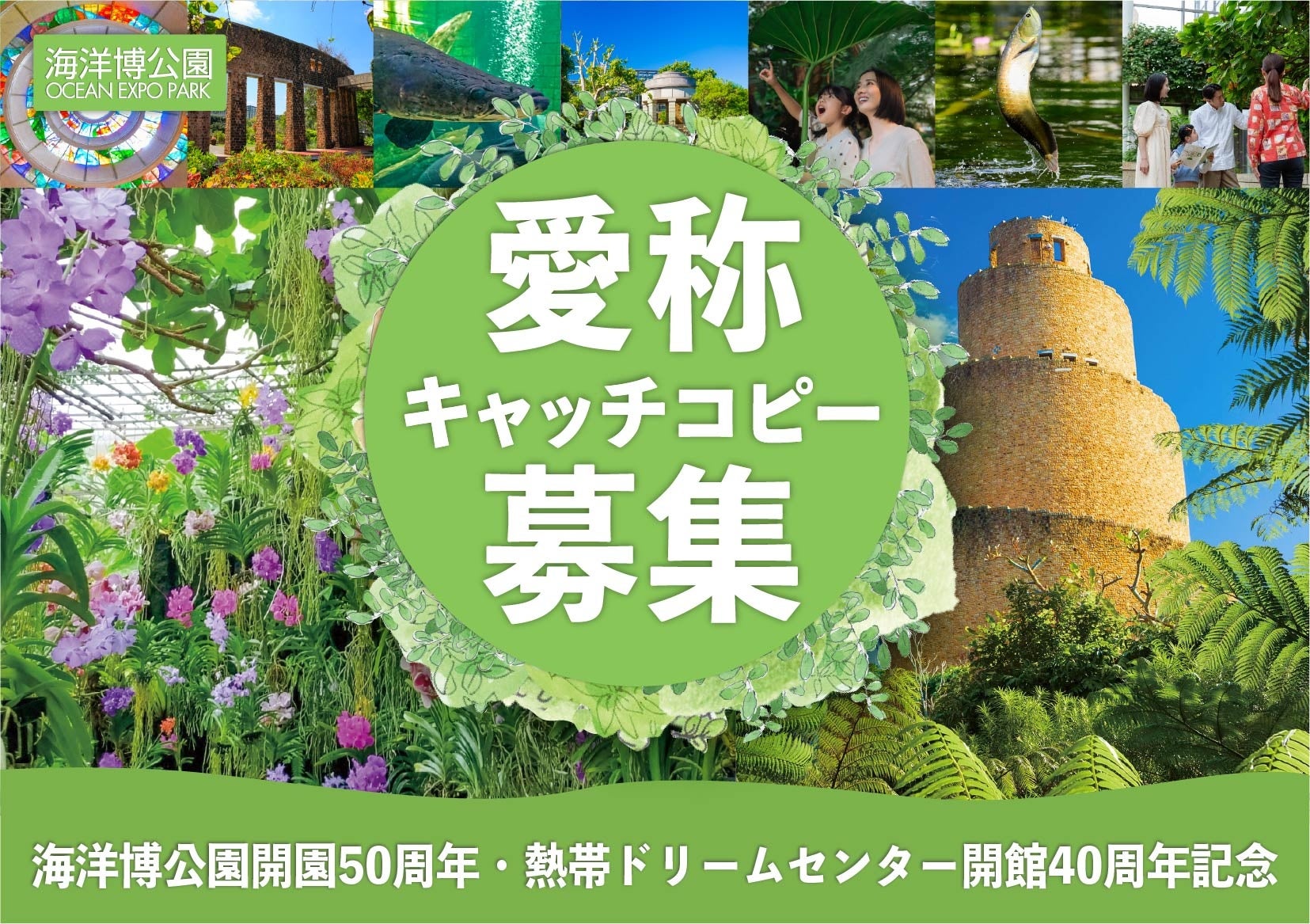 1室4名までご宿泊OK　ご家族旅行や女子会に！富士山ステーションホテル新客室【Family Bunk Room】大人も子どもも思わずワクワク！9/26（金）誕生！