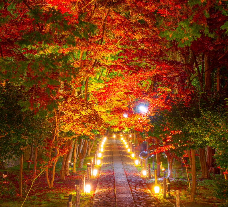 秋のグルメに紅葉、温泉を砺波で堪能。蟹や子持ち鮎、遊覧船で絶景を満喫する自然観光とオールインクルーシブステイを紹介【メルキュール富山砺波リゾート&スパ】