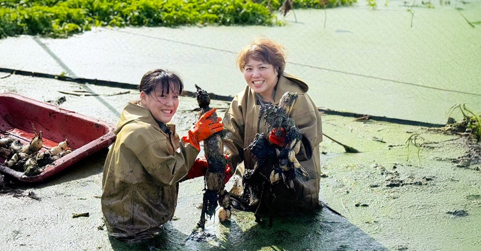 【グランドニッコー淡路】クリスマスコレクションのご予約受付を2025年10月1日より開始