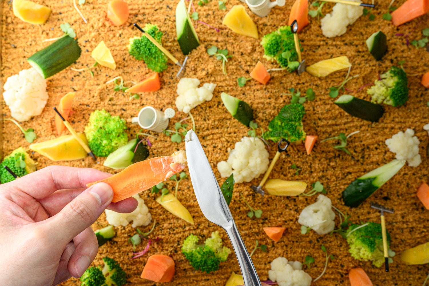 「ツーリズムEXPOジャパン2025 愛知・中部北陸」に出展