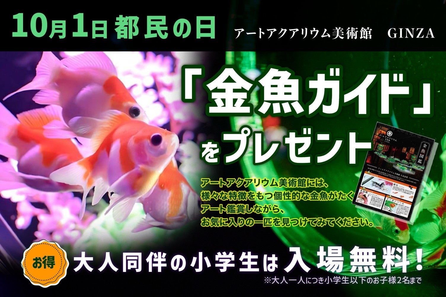【小学生以下、入場料無料！】10月1日“都民の日”は、親子でアートアクアリウム美術館へ！金魚ガイドをプレゼント