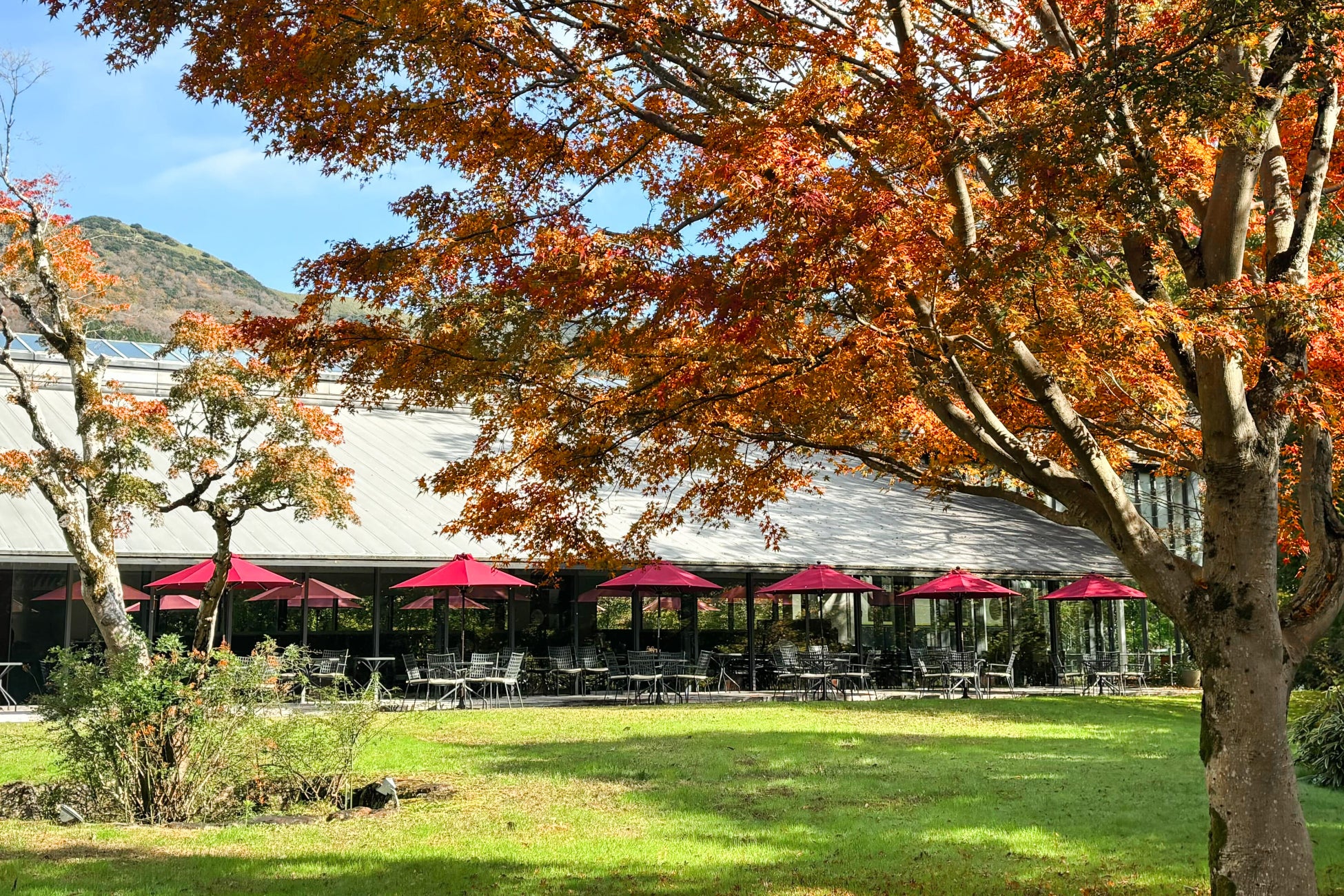 『もったいないばあさん』と一緒にSDGsに触れる、親子向けクッキング教室。新大阪江坂東急REIホテルで、食材の大切さを学ぶ特別な一日を体験。