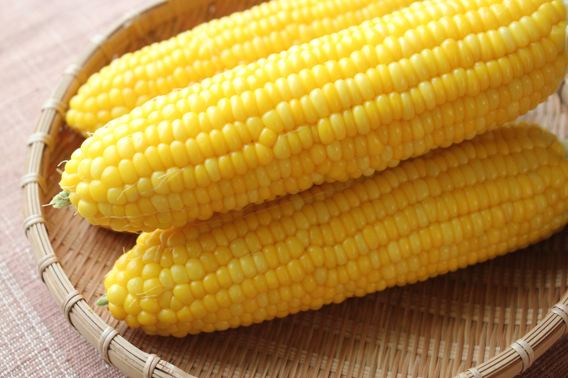 Jackery(ジャクリ)が、2025年9月27(土)・28(日)に開催する「アウトドアデイジャパン 神戸 2025」に初出展!