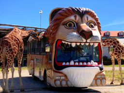 コールマン、『焚き火体験&ナンドッグ作り』開催 ファミリーで参加できる「薪割り体験」・「テント設営講習会」も!