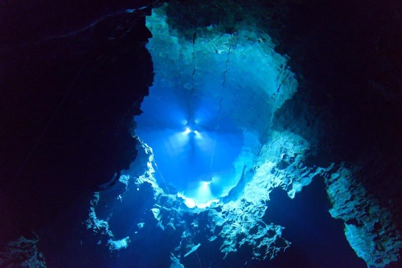 レジャー・エンタメの定額制サービス「レジャパス」秋の復会キャンペーン開催!復会で20レジャコイン贈呈