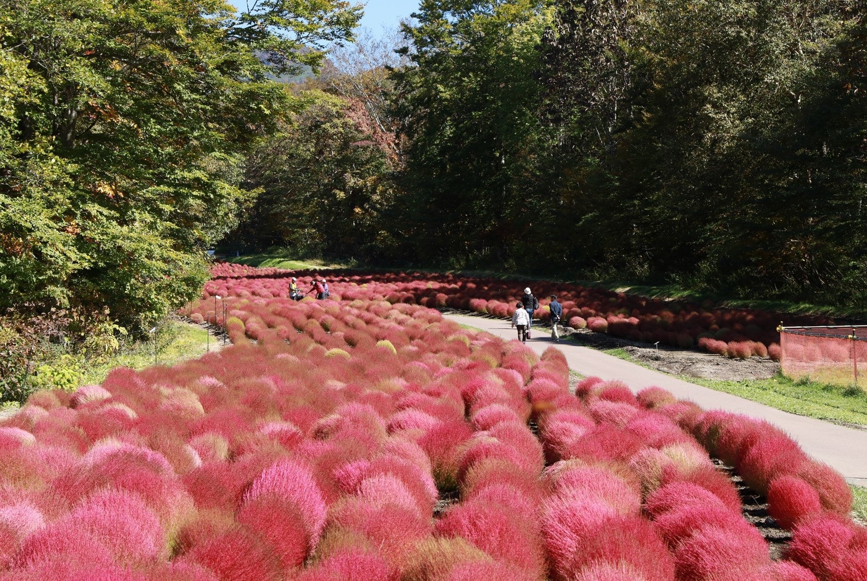 訪日観光は“量”から“質”の時代へ。食で魅せるインバウンド体験『WABISABI TOKYO』オープン 〜10月9日始動。失われつつある日本の伝統を2人のシェフが紡ぐ〜