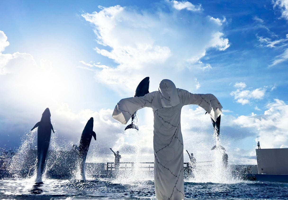 Lime、横浜エリアでのサービスを正式開始 eBoard社との提携により、観光拠点での利便性を向上 ~欧米豪に強い利用者基盤を活かし、クルーズ船観光客の回遊性向上に貢献~