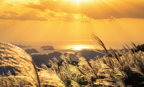 小豆島共同情報発信マガジン「小豆島倶楽部」が東京/表参道山陽堂ギャラリーにて “小豆島”魅力案内所「小豆島倶楽部 展」を10月4日(土)~11日(土)で期間限定開催。