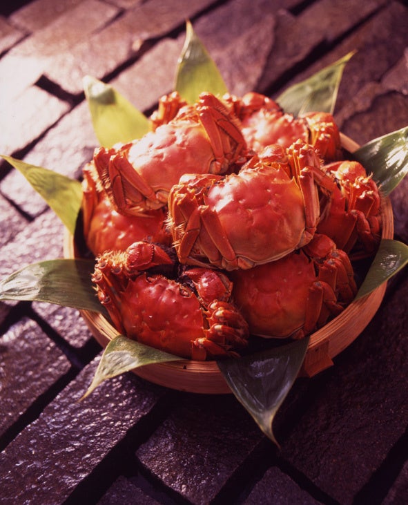 「THE NORTH FACE/HELLY HANSEN ラゾーナ川崎」増床リニューアルオープン