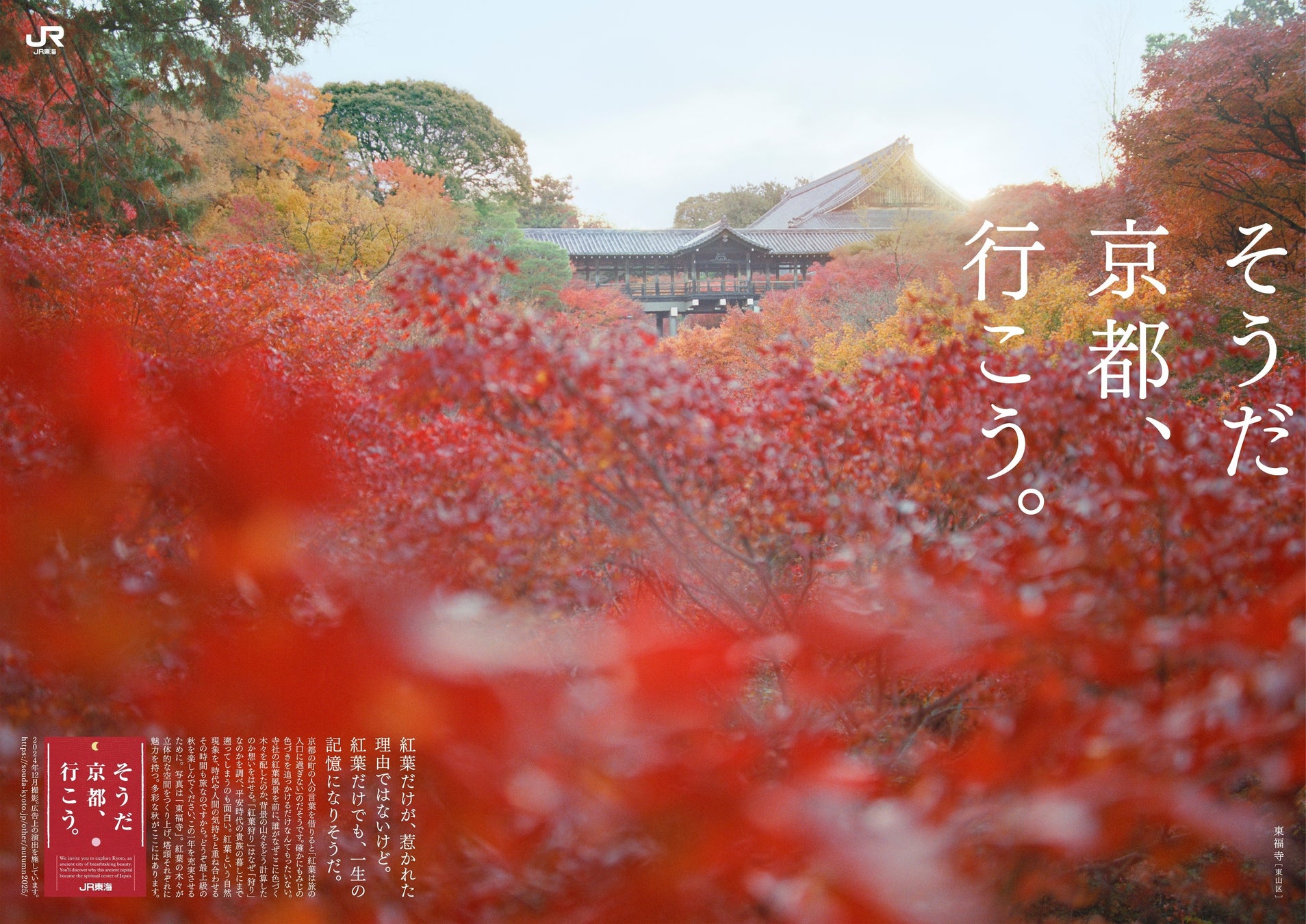 伊豆赤沢温泉郷「赤沢迎賓館」 2025年9月25日より再開業 新たな装いで皆様をお迎え