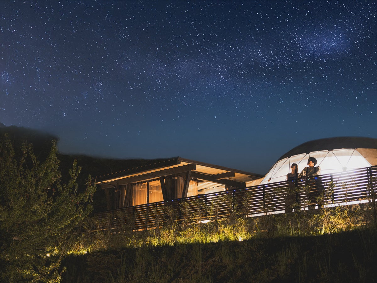 【ネコマ マウンテン】シーズン長すぎ!特典多すぎ!ネコマ マウンテン25-26シーズン券が10月1日より販売開始!