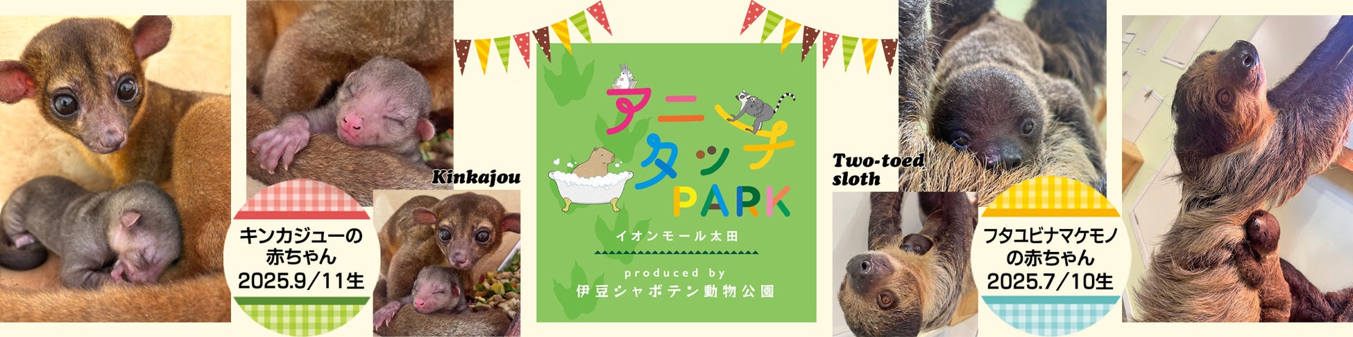 【東京ベイ有明ワシントンホテル】見て、触れて、泊まる!普段は見られない運転台を客室に 1日1室限定「ゆりかもめ30周年記念コラボルーム」販売開始