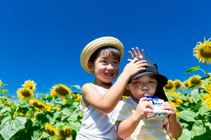 【新商品】【ビギナーでも安心!! 安定感抜群の幅広モデル!!】自転車パーツブランド「GORIX」から、フラットペダル(GX-MP852)が新発売!!