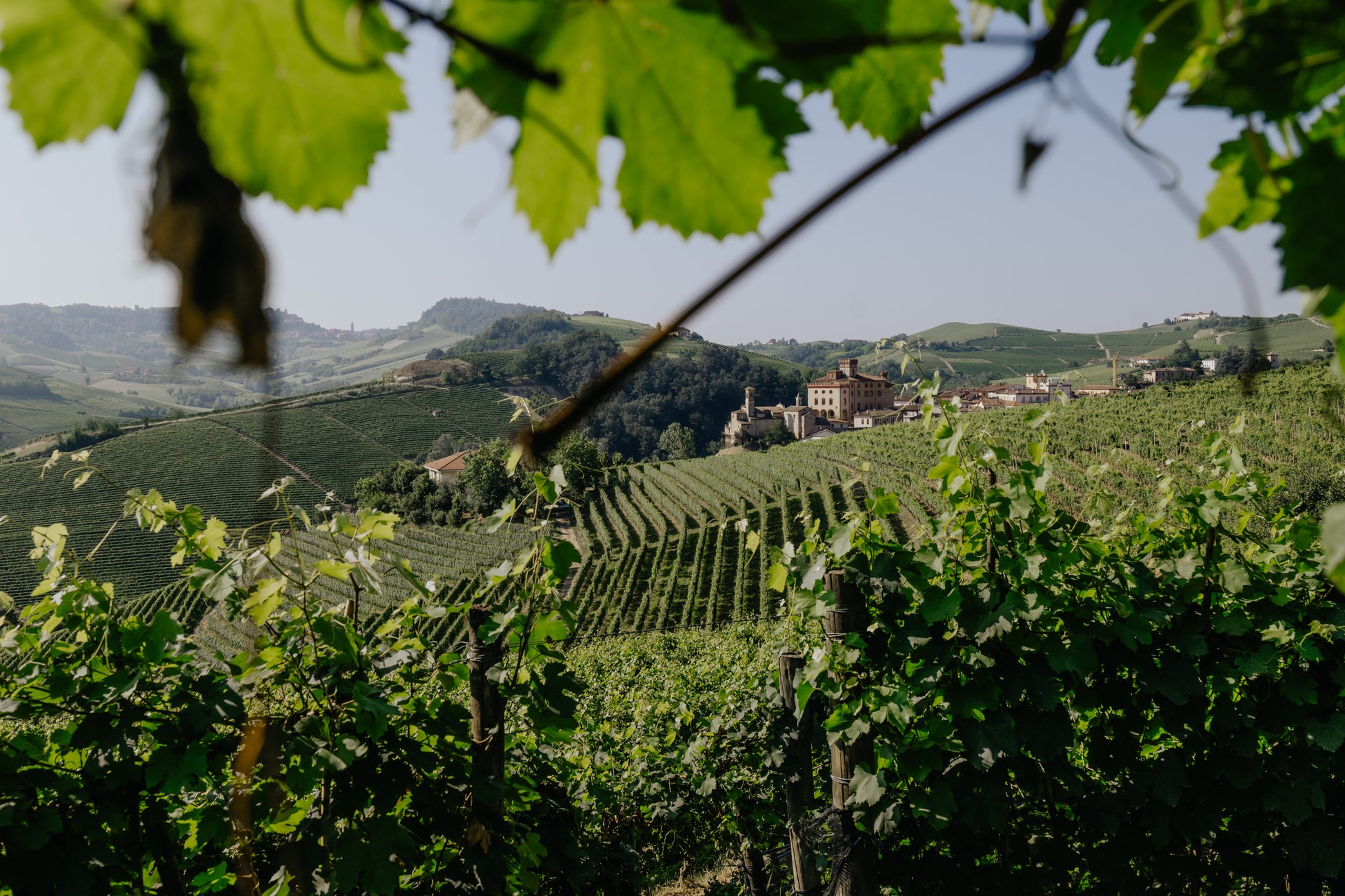 【新横浜プリンスホテル】絶景バーラウンジで推しと楽しむ推し色メニューと推し色カクテル!“おとなのための推し活”プランを販売開始