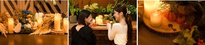 【こどもの休日の過ごし方】 獣医さん体験スクール~現役の獣医さんと獣医さん体験をしよう~