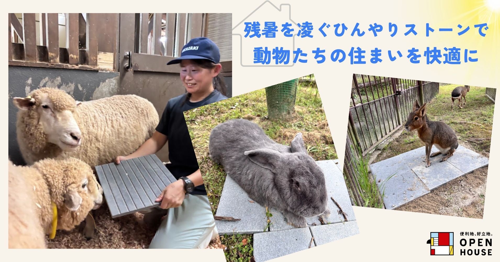 残暑を凌ぐひんやりストーンで動物たちの住まいを快適に
