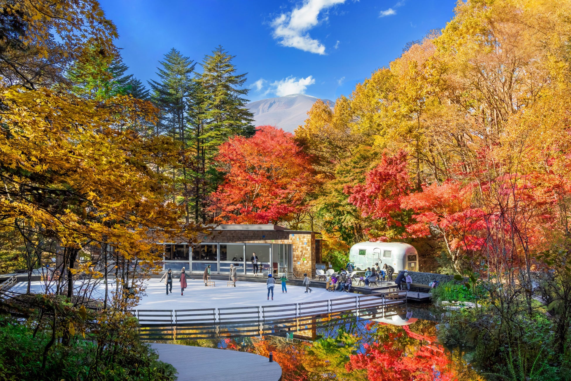 大阪2軒の変なホテル 開園110周年「天王寺動物園」とコラボ「アニマルルーム」満天ノ 辻のや 冬の風物詩「蟹尽くし会席・活ガニ会席」発売