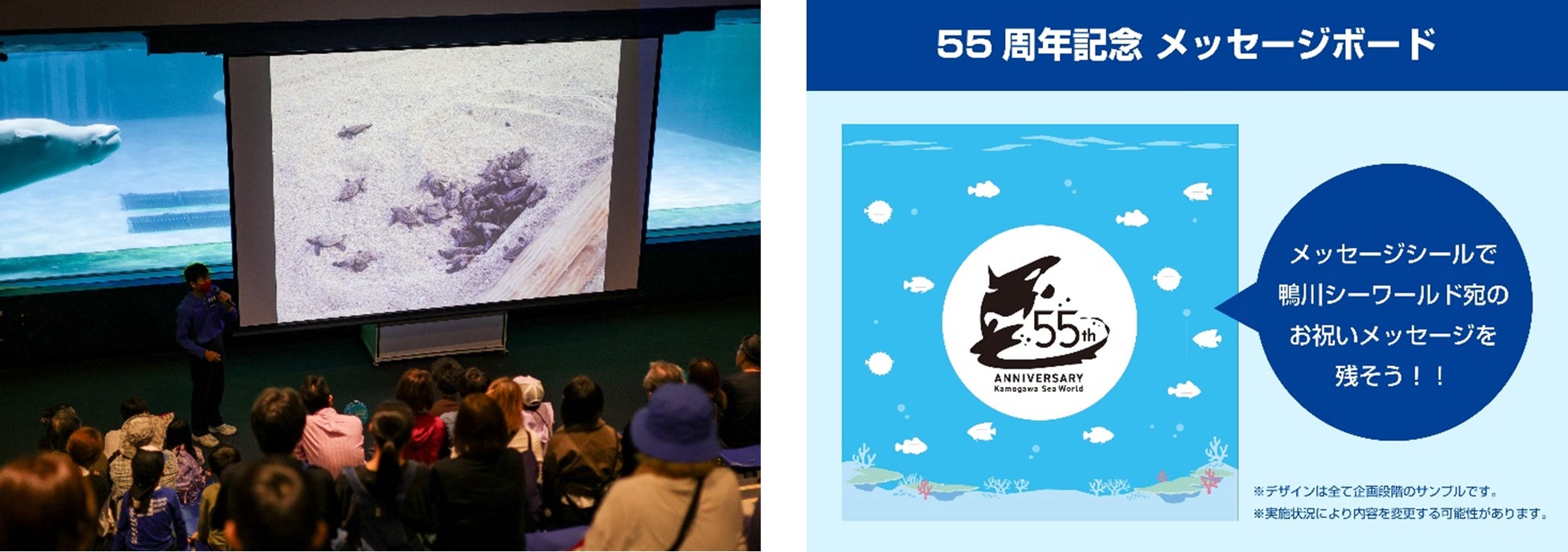 【ホテル日航アリビラ】約10年ぶりにウミガメの孵化を確認
