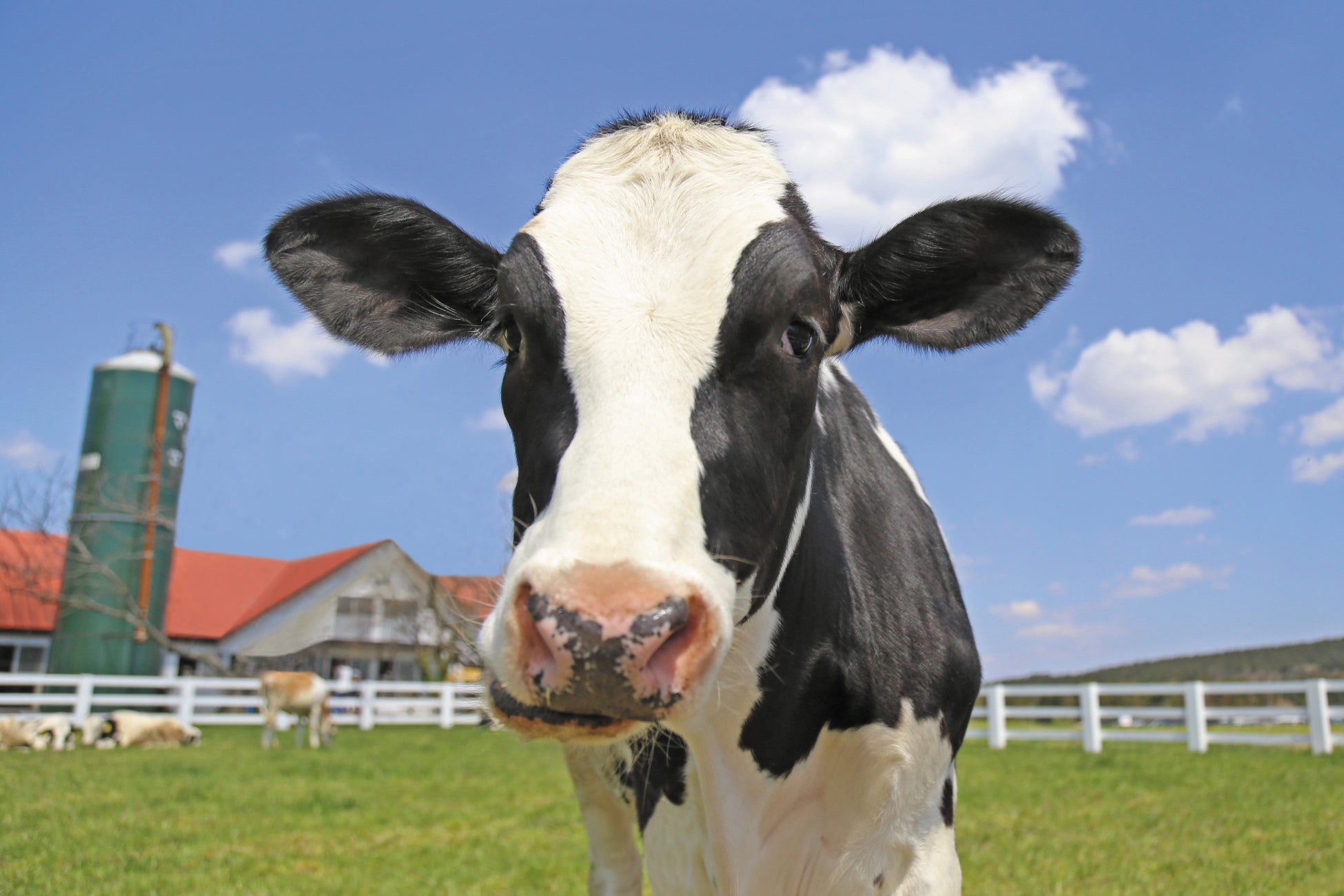 ウォルドーフ・アストリア大阪　秋の名月とともに楽しむ日本料理の技　―「月見」で味わう匠の味