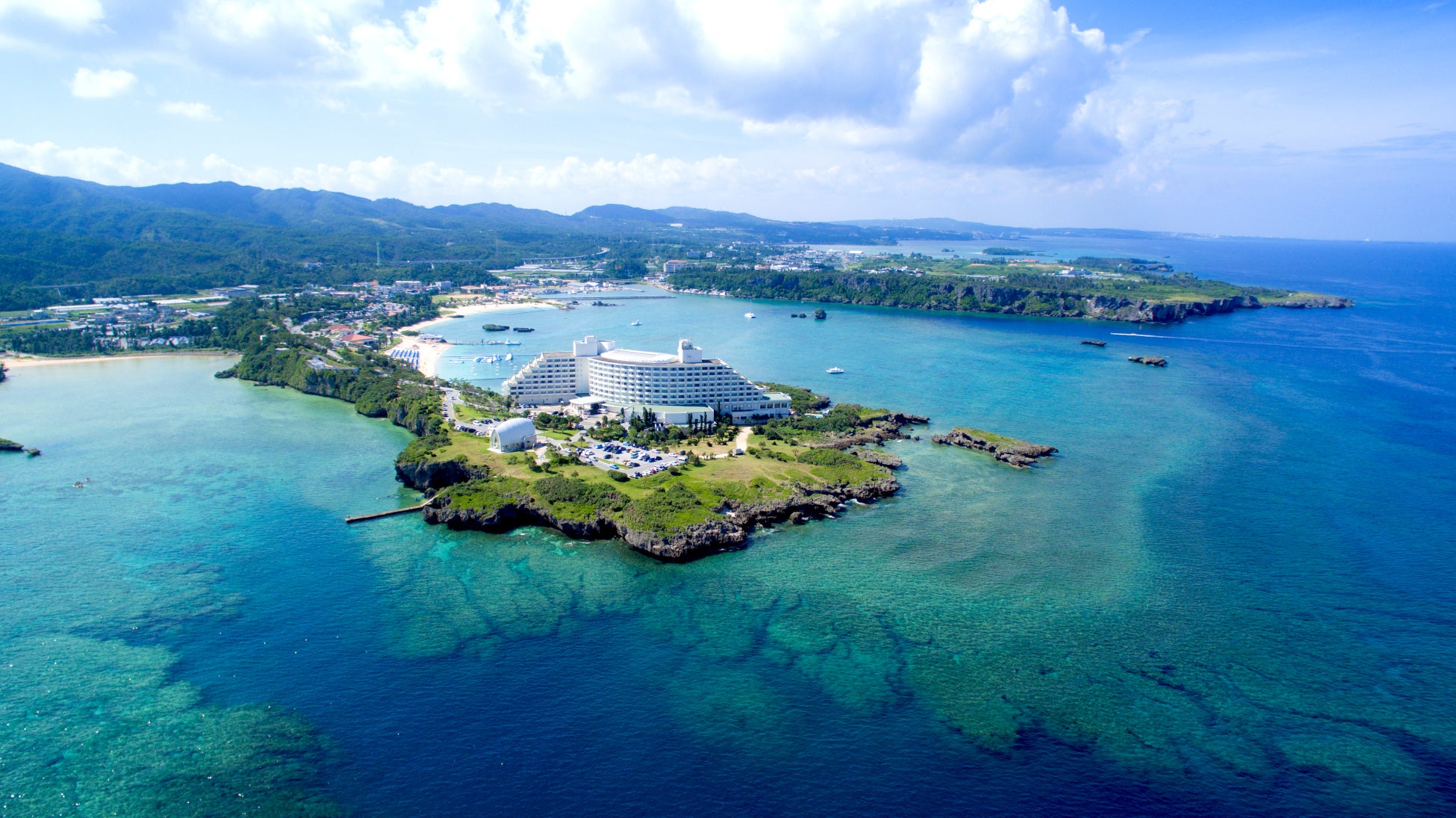 倉敷の伝統×くらしきドーナツの木!『野﨑家の塩』が主役の秋ドーナツ&ソフト、10月1日解禁