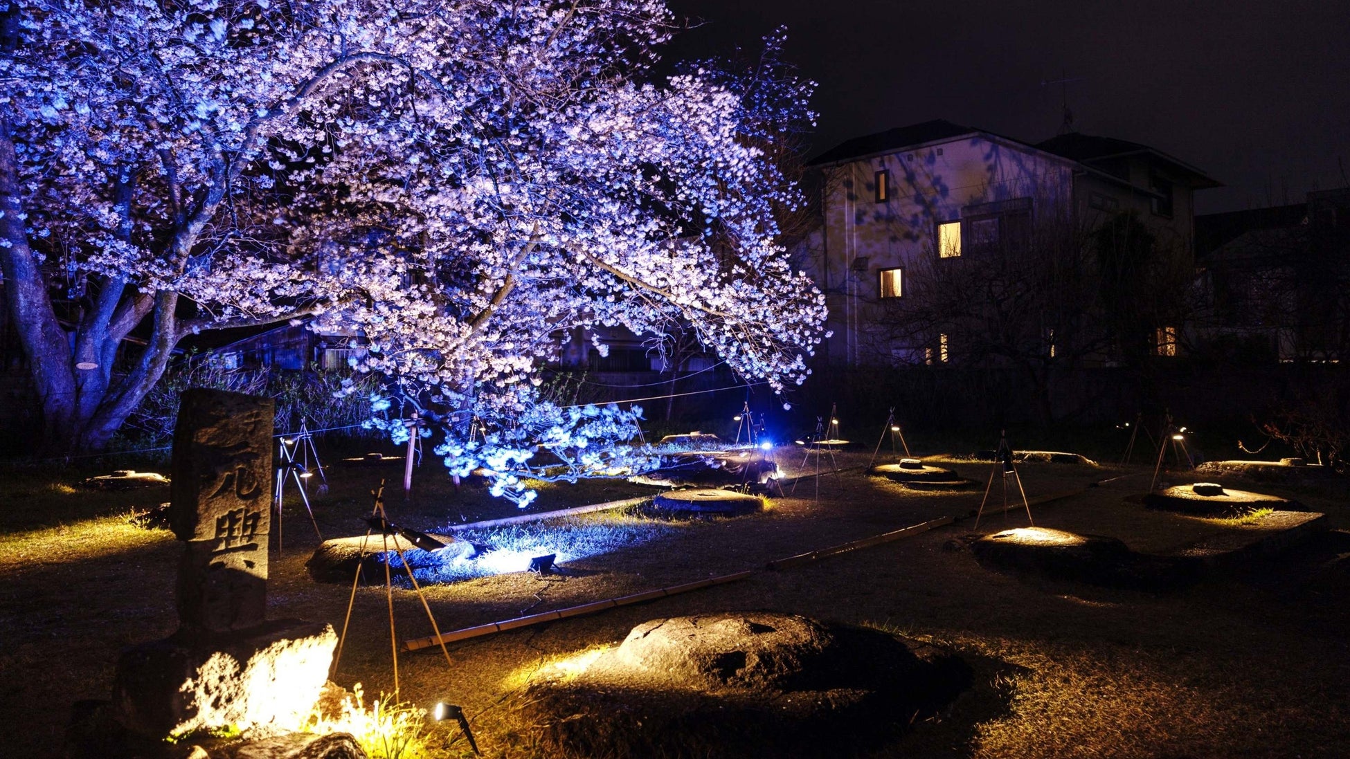 ゴルフシューズ 『BRIEFING×BRIDGESTONE GOLF HIGH』新発売