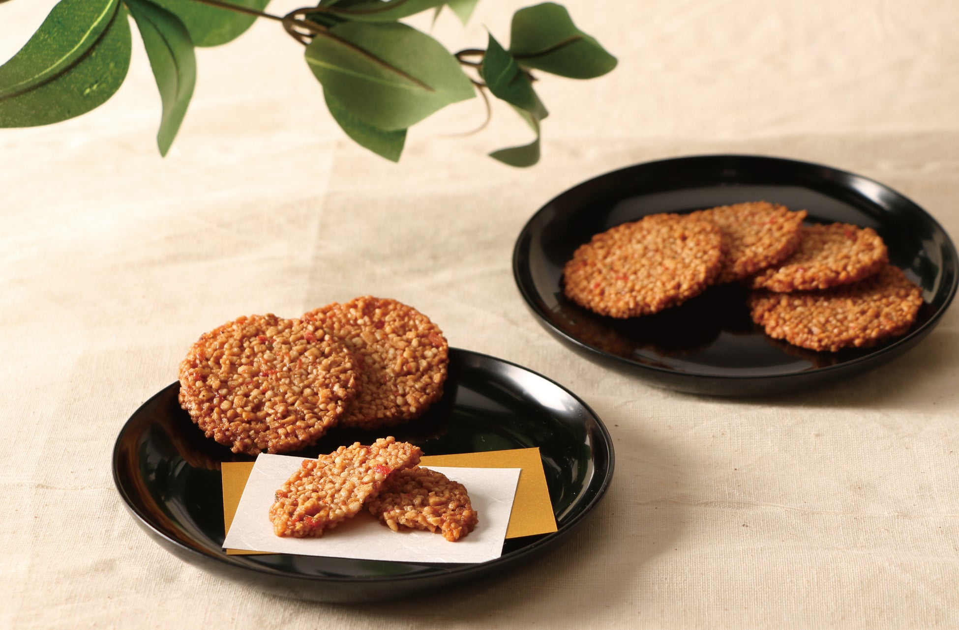 SANU、新執行役員2名が就任 ー “別荘の民主化”と100拠点展開へ加速