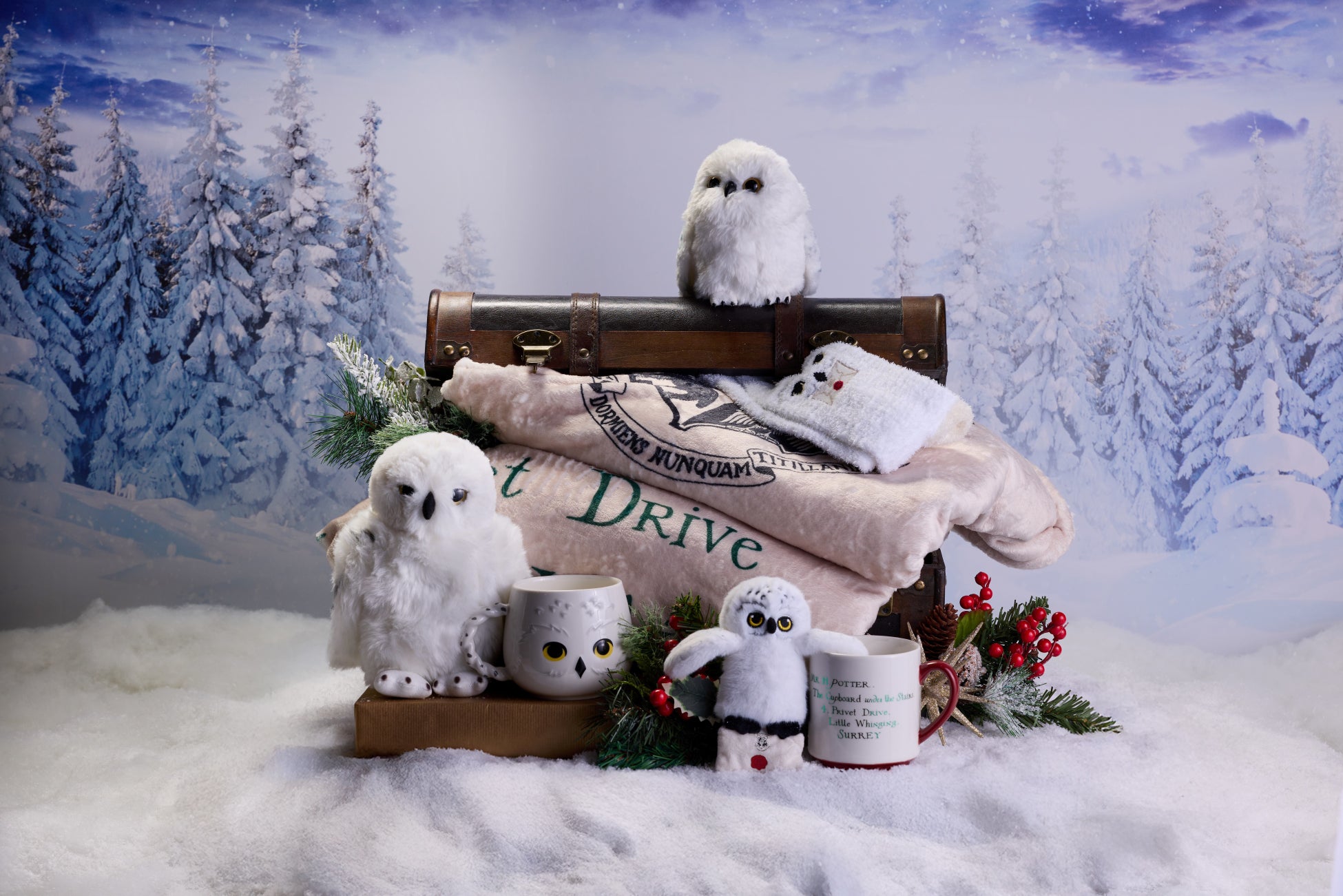 ワーナー ブラザース スタジオツアー東京 – メイキング・オブ・ハリー・ポッター、冬を暖かく過ごす、もふもふアイテムが登場 「ぬくぬくヘドウィグ」コレクション 10月1日（水）発売