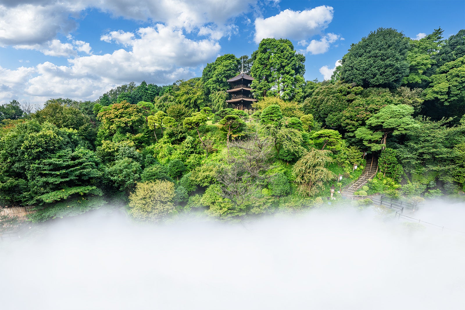 ゼンリン運営の観光アプリ「STLOCAL」を採用し、北九州市内の約３００店舗が割引やサービスを提供します　～この秋、超お得なキャンペーンが登場！～