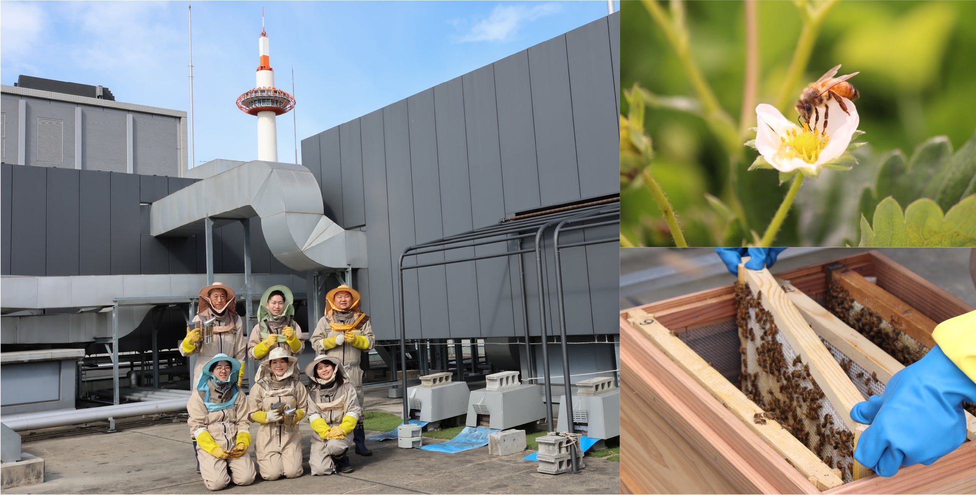 【南魚沼市】第21回八色の森市民まつりwith雪国秋フェスを開催します