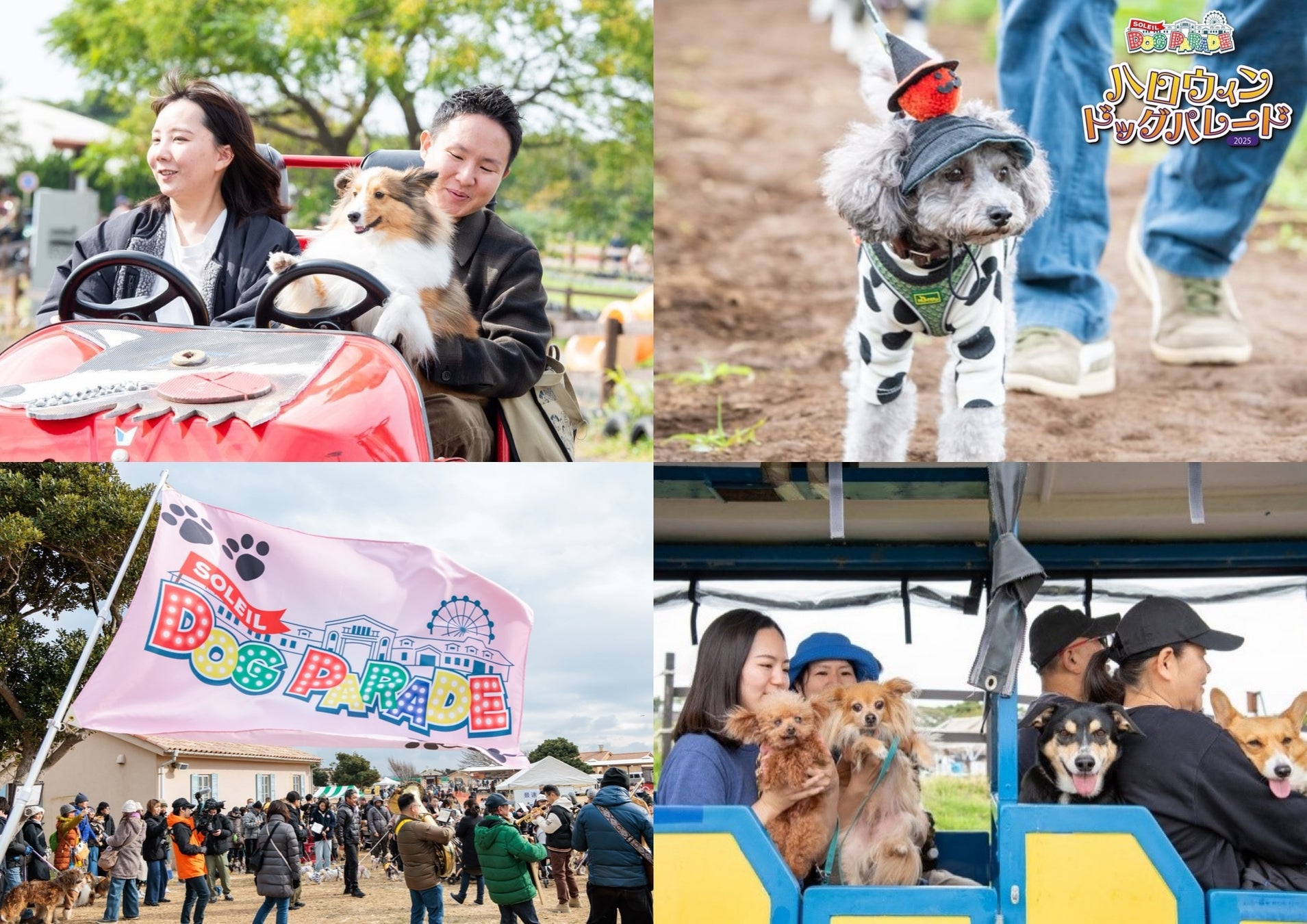 コスモスが咲き誇る園内で愛犬と一緒にアトラクションやハロウィン仮装パレードを楽しめる！三浦半島最大級のドッグイベント、横須賀・ソレイユの丘で10/25(土)・26(日)に開催。