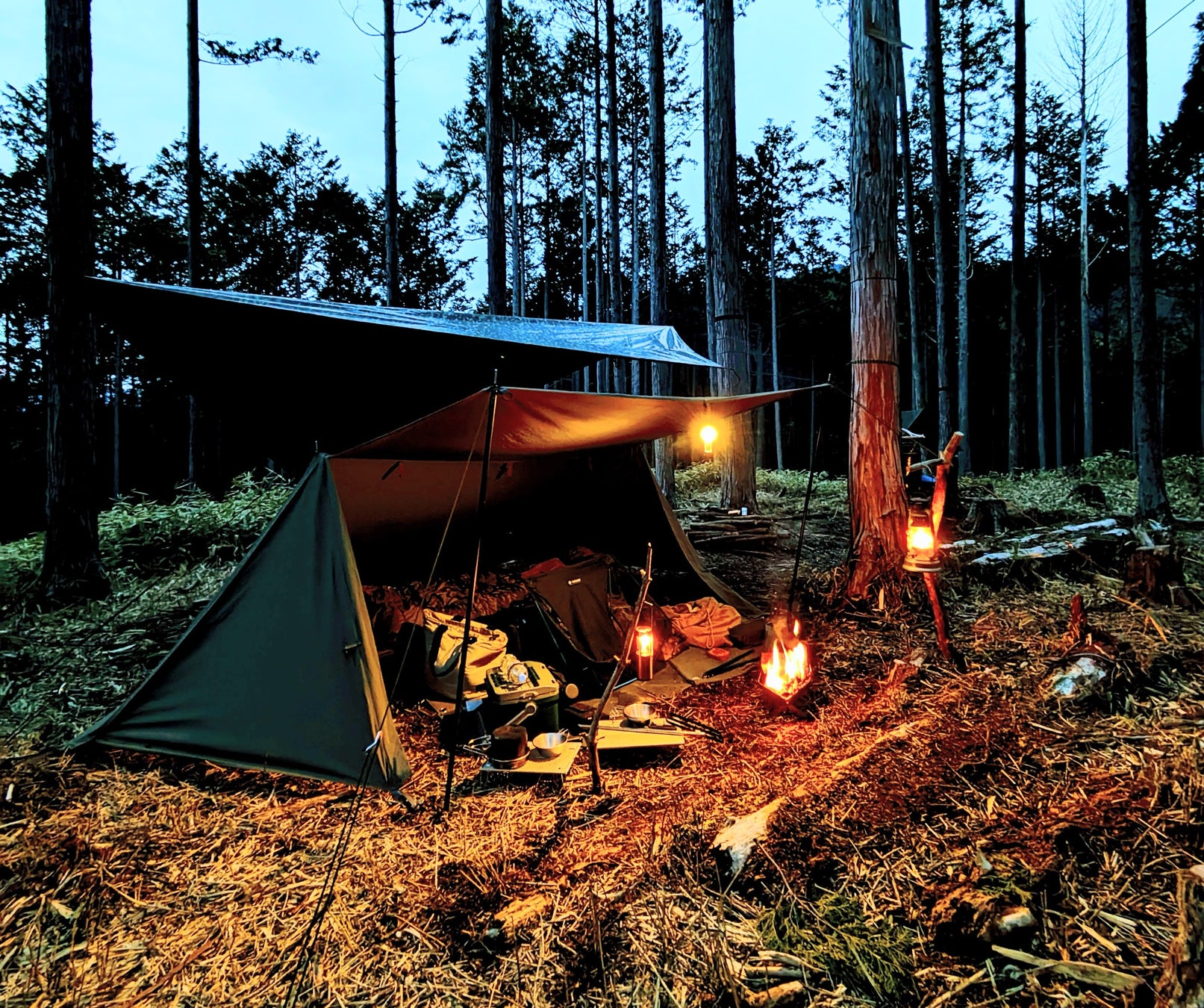 歴史ある石垣と自然が残る森をキャンプフィールドに　静岡県浜松市浜名区にフォレンタ新エリアオープン