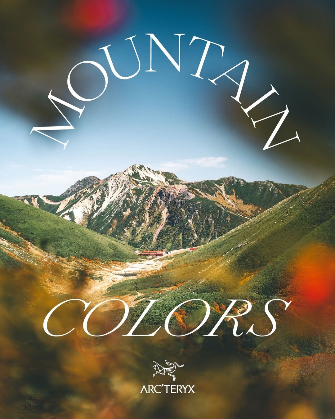 銀座に秋感じる幻想空間、現る！改装後初めての秋の企画展「金魚泳ぐ 幻想秋夜2025」