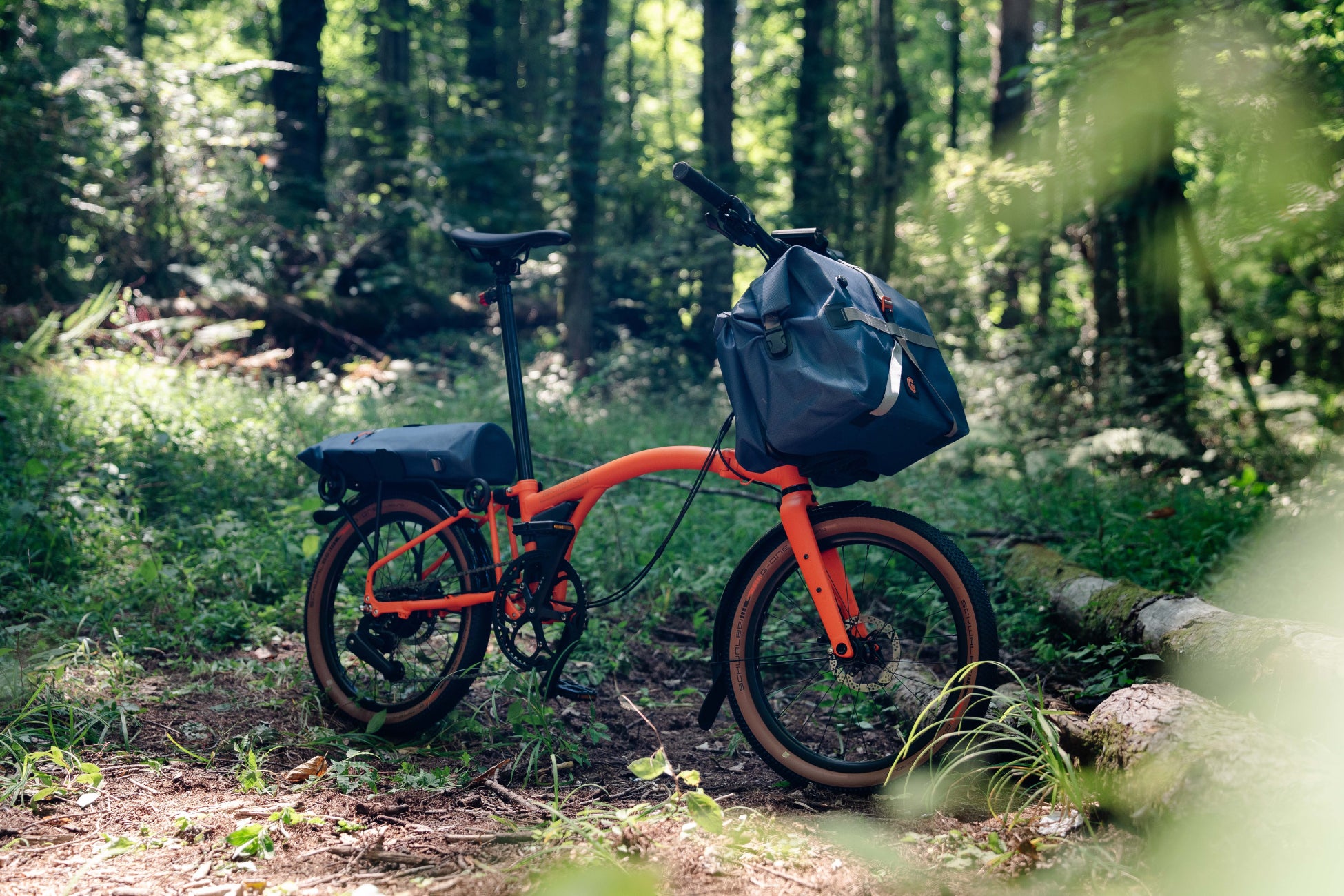 10月はピンクリボン月間 ― 銭湯から地域の健康を支える新しいカタチ
