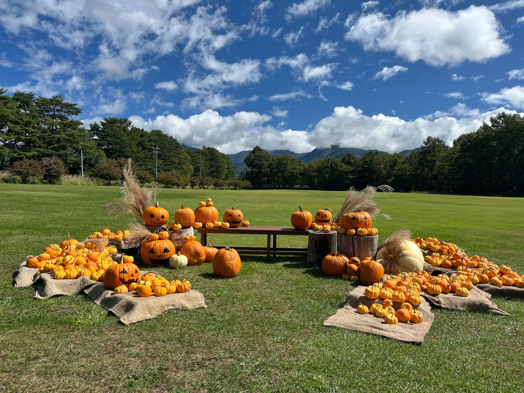 【ワングランピング新掲載】都心近郊の緑地で“手ぶら”グランピングBBQと焚き火体験を── Grow Garden Toriyama