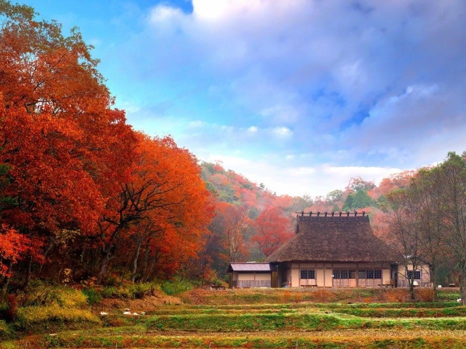 ピングー誕生45周年のお祝い「PINGU™ʼs SMILE PARTY in ADVENTURE WORLD」 開催!