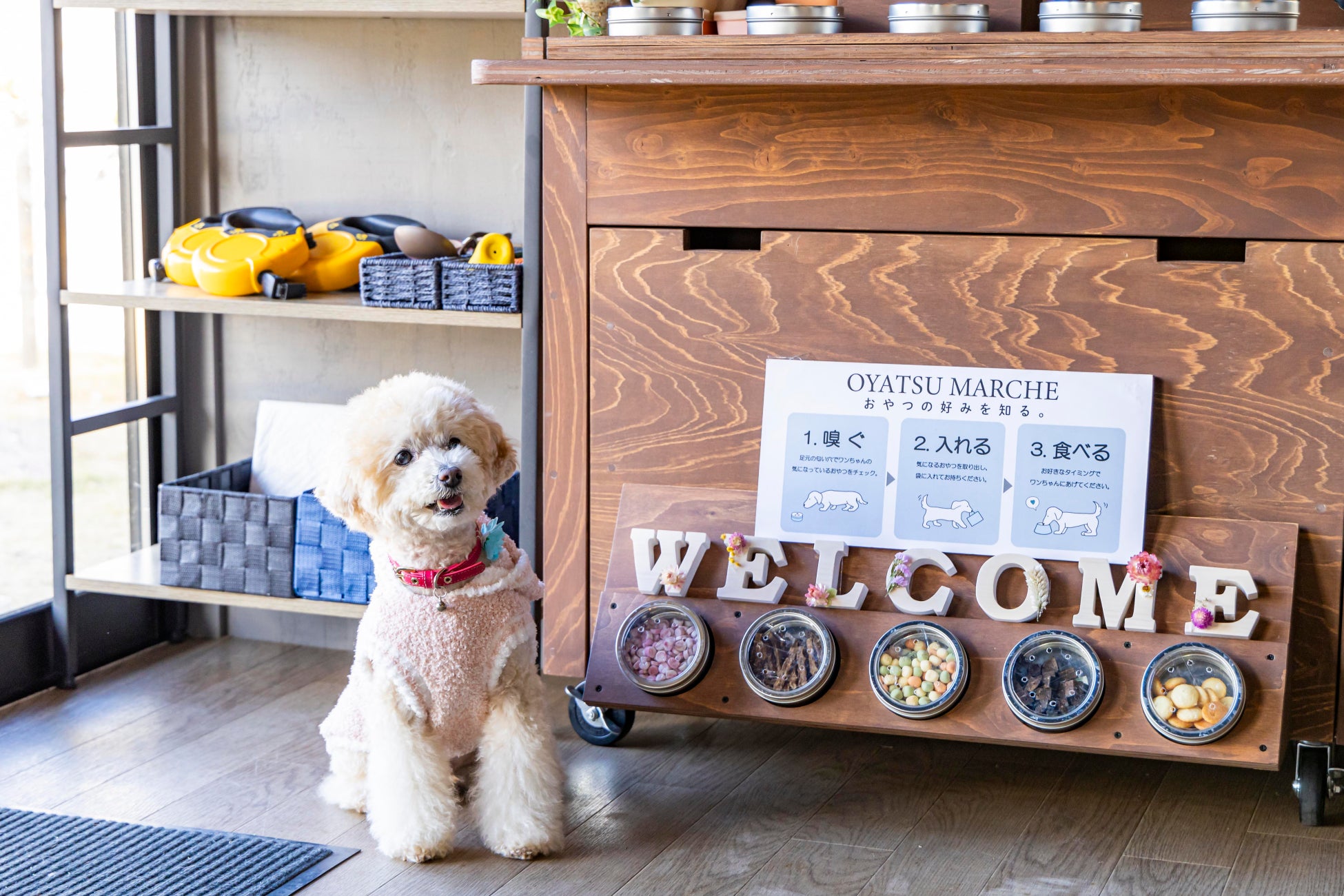 curiosity、九十九島(くじゅうくしま)水族館海きららのクラゲシンフォニードームに新インスタレーション「ステップハーモニー」を開発!